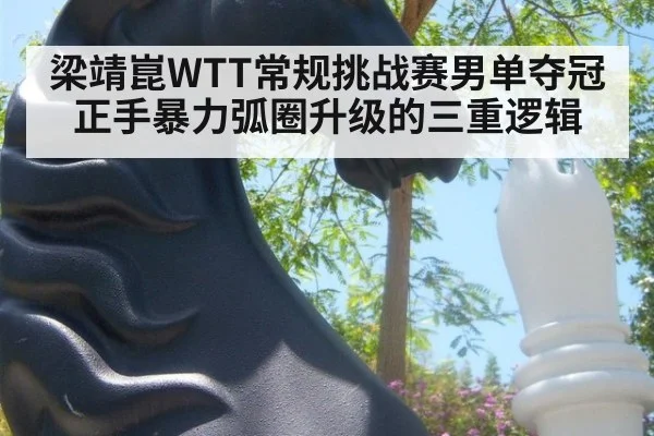 梁靖崑WTT常规挑战赛男单夺冠 正手暴力弧圈升级的三重逻辑